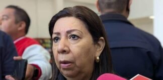 Avanza investigación por asesinato de dos perros en Cerro de San Pedro