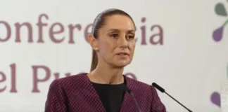 Respalda Sheinbaum al SAT por retiro de permisos a ONG; rechaza motivación política