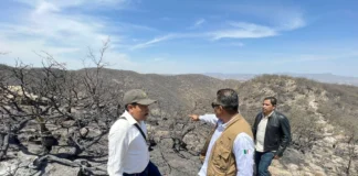 Disminuye sequía en San Luis Potosí; 17 municipios permanecen en condición D0