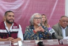 Buscan García Castillo y Arreola coordinaciones federales de Morena en SLP