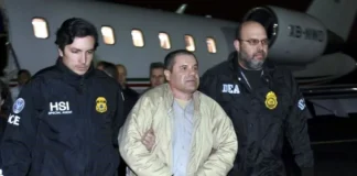 Gobierno fue responsable de crímenes, yo no hice daño.-Chapo