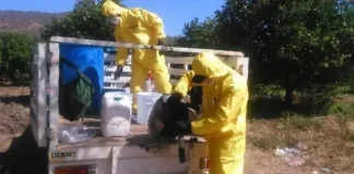 Gobierno estatal espera que la FGE concluya investigación sobre compras simuladas de insecticidas