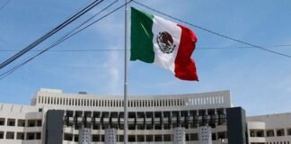 Advierte defensora baja judicialización de casos relacionados con infancias en San Luis Potosí