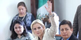 Salida de Aranzazú Puente del PAN abre reacomodos políticos en el Congreso