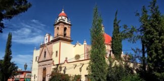 Villa de Pozos atiende más de 10 denuncias por presunto maltrato animal en lo que va del año