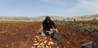 Países árabes condenan plan israelí en Cisjordania