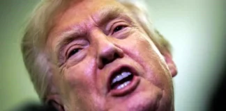 Reprueba Trump el show de Bad Bunny en Super Bowl