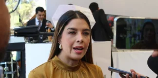 PVEM analizará reforma electoral antes de fijar postura en el Senado: Ruth González