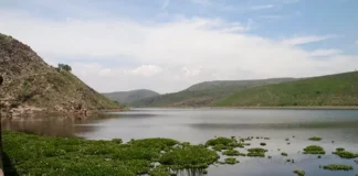 Congreso exhorta a autoridades por contaminación y lirio acuático en la presa San José