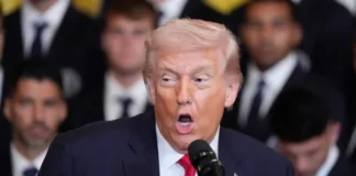 Epicentro de violencia de cárteles es México.- Trump