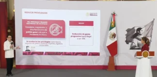 Recortan a sistema electoral; salvan gasto de partidos