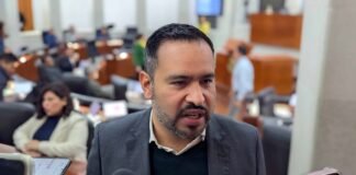 Critica PVEM postura de Morena contra candidaturas de familiares en SLP