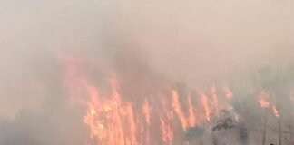 Enfrenta San Luis Potosí inicio de año sin precedentes por incendios forestales