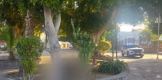 Localizan a mujer sin vida en el jardín de San Sebastián