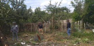 Documentan buscadoras nueve presuntos sitios de exterminio en la Huasteca potosina