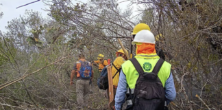 Advierte Protección Civil alto riesgo de incendios por ola de calor