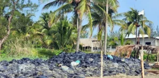 Recogen chapopote, pero lo abandonan en bolsas en Veracruz