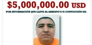 Detienen en Nayarit a ‘El Jardinero’, capo del CJNG