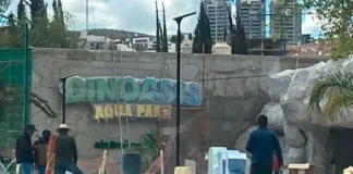 Enfrenta Dinoasis disputa por nombre previo a su inauguración