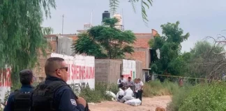 Cae San Luis Potosí al lugar 18 nacional en Índice de Paz México