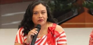 Desecha Ceepac denuncia contra PVEM por presunta propaganda anticipada