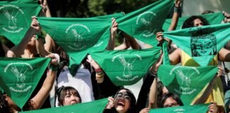 Rechaza Marea Verde iniciativa para crear el “Día de la Niña y el Niño por Nacer”