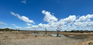 Plantea Consejo Hídrico que crisis del agua en SLP debe abordarse desde la “justicia hídrica”