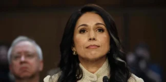 Dimite Tulsi Gabbard como directora de Inteligencia de EU