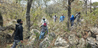 Denuncian colectivos de búsqueda agresiones y amenazas en Tamuín, Rio Verde y Ciudad Valles