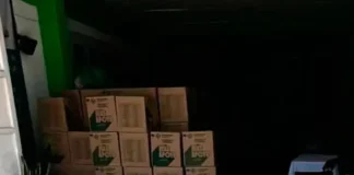Gallardo advierte sanciones por resguardo de despensas de Sedesore en sede del PVEM