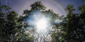 Adelantarán vacaciones escolares en regiones de San Luis Potosí por altas temperaturas