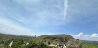 Presa San José: cinco años y más de 42 millones gastados sin frenar el lirio acuático