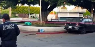 Hallan tres cabezas y restos humanos en Temixco, Morelos