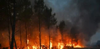 Obliga incendio en Francia a evacuar a más de 250 mil