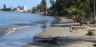 Cofepris alerta por cinco playas contaminadas en México este verano