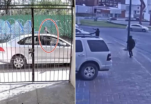 San Luis Potosí, entre los municipios con más robo de vehículos asegurados en México