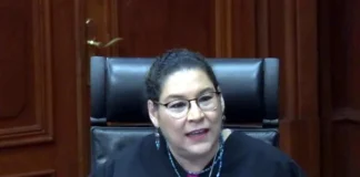 Acusa Lenia Batres ‘animadversión insana’ de sus colegas
