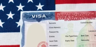 EU ha revocado 175 mil visas a extranjeros