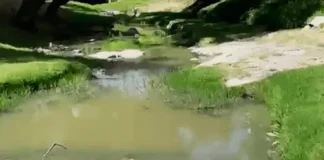 Obra en Glorieta Real Inn habría provocado descarga de aguas negras en Villa Antigua