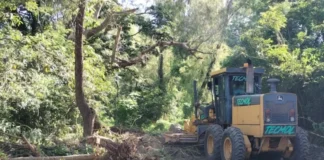 Conagua inicia procedimiento contra Tecmol por tala de árboles en río Valles