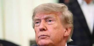México solo tiene tamales y tomates.- Trump