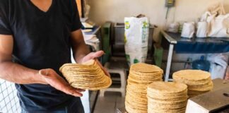 Detectan aflatoxina B1 en 16 de 30 tortillerías analizadas en la capital