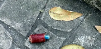 Envenenan a perros en Parque España; cercan área