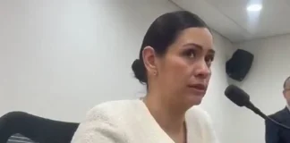 Prevé INE dar vista de anomalías de Taddei; van 15 renuncias