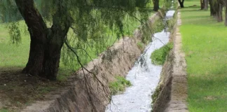 Sigue sin respuesta formal la solicitud para atender aguas residuales en Tangamanga I