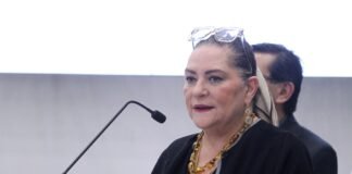 Renunciará Taddei al INE este lunes